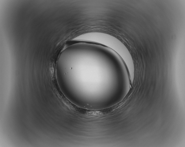 X0000116550427200912101418