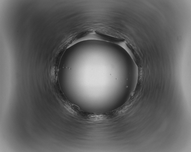 X0000116550428200912101418