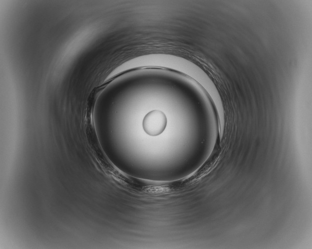 X0000116550429200912101418