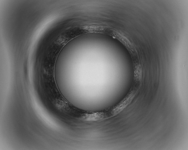 X0000116550430200912101418