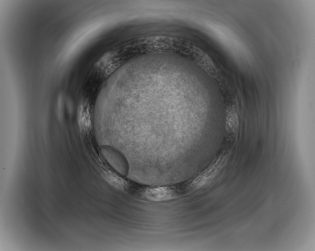 X0000116550431200912101418