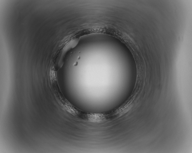 X0000116550432200912101418