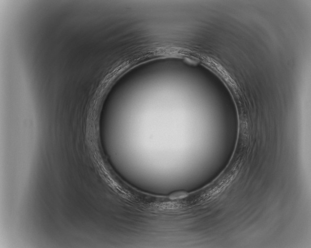 X0000116550433200912101417