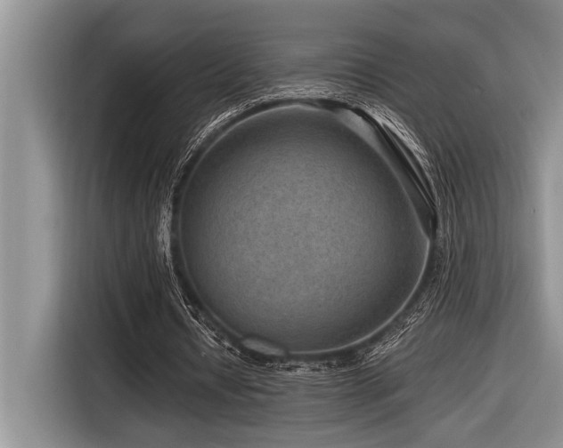 X0000116550434200912101417