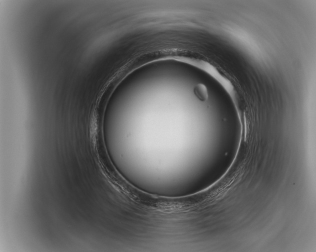 X0000116550435200912101417