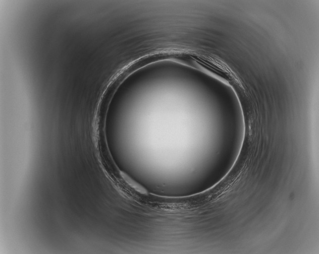 X0000116550436200912101417