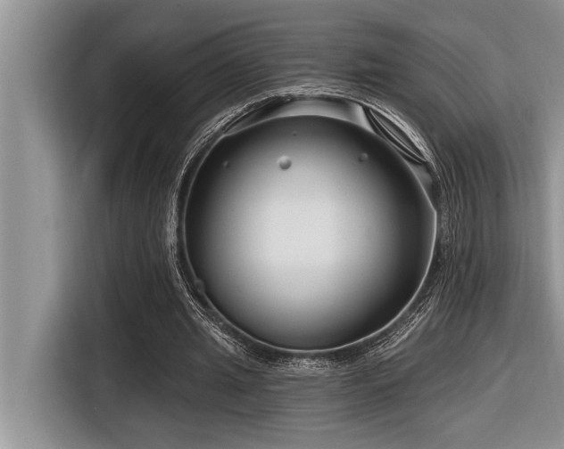 X0000116550437200912101417