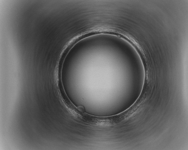 X0000116550438200912101417