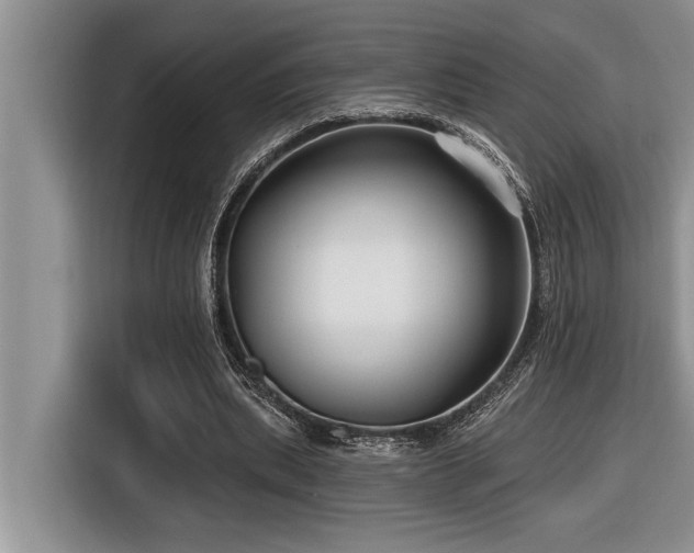 X0000116550439200912101417