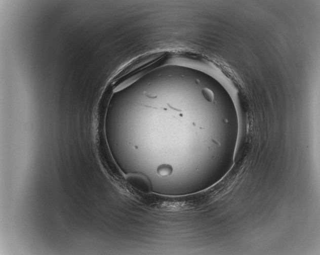 X0000116550440200912101417