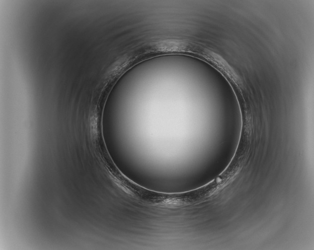 X0000116550441200912101417