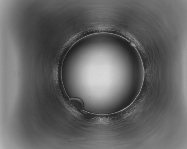 X0000116550442200912101417