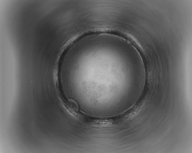 X0000116550443200912101417