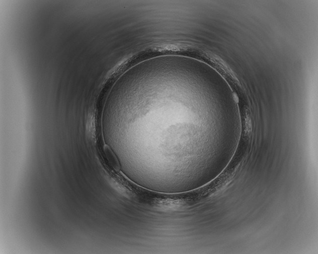 X0000116550444200912101417