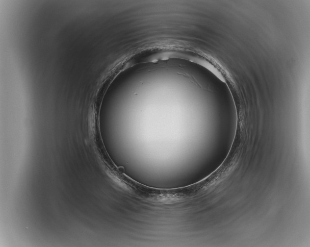 X0000116550445200912101417