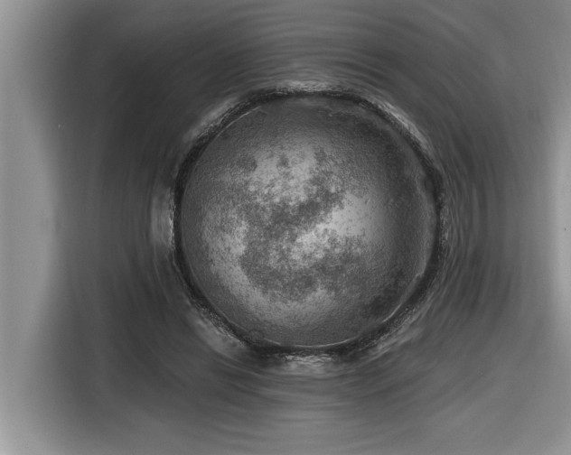 X0000116550446200912101417