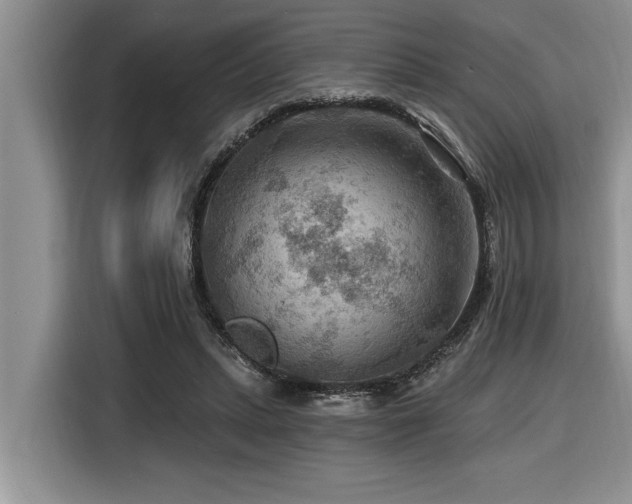 X0000116550447200912101417