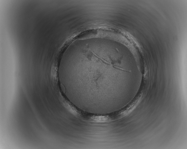 X0000116550449200912101417