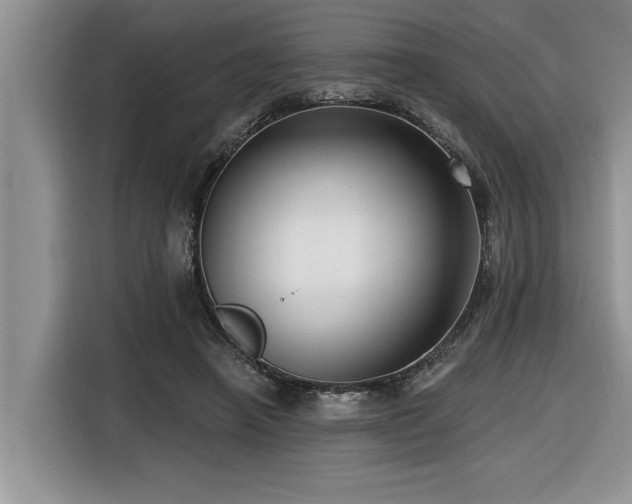 X0000116550450200912101417