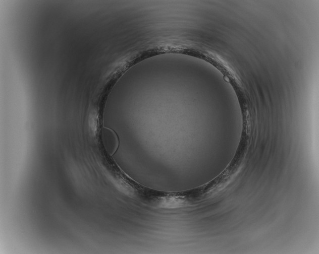 X0000116550451200912101417