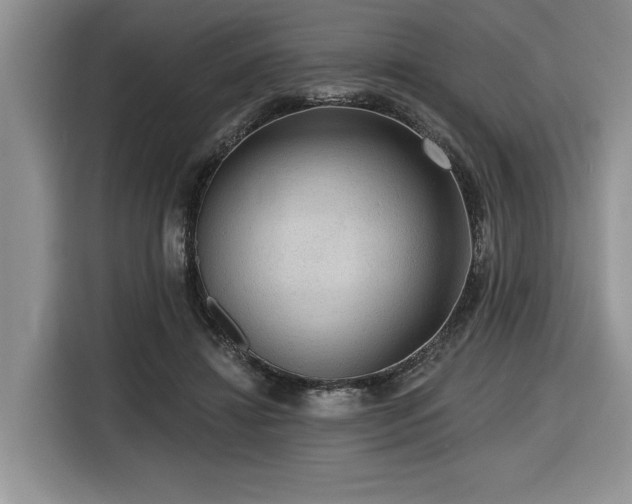 X0000116550452200912101417