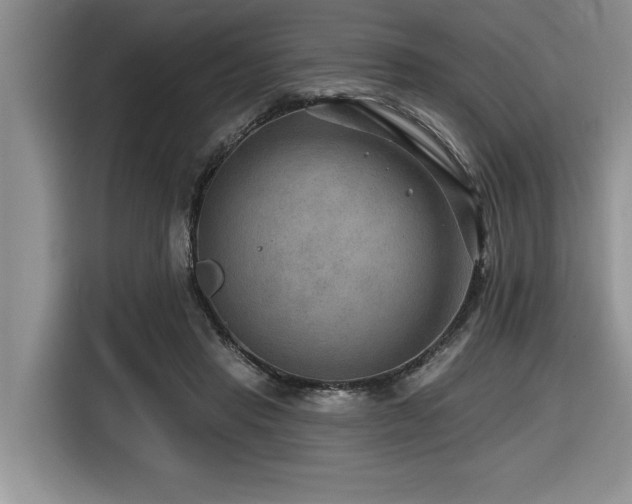 X0000116550453200912101417