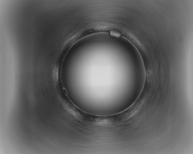 X0000116550454200912101417