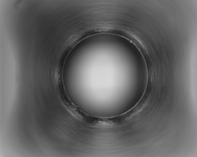 X0000116550455200912101417