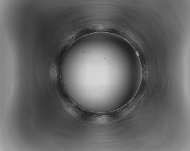 X0000116550456200912101417