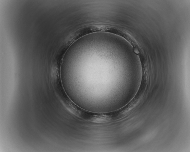 X0000116550459200912101417