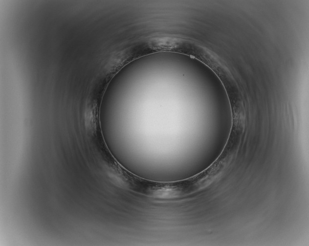 X0000116550460200912101417