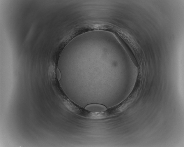 X0000116550461200912101417