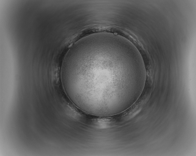 X0000116550462200912101417