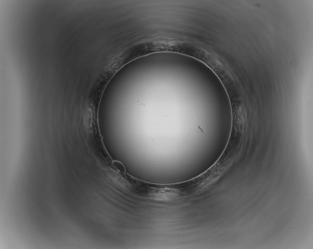 X0000116550463200912101417