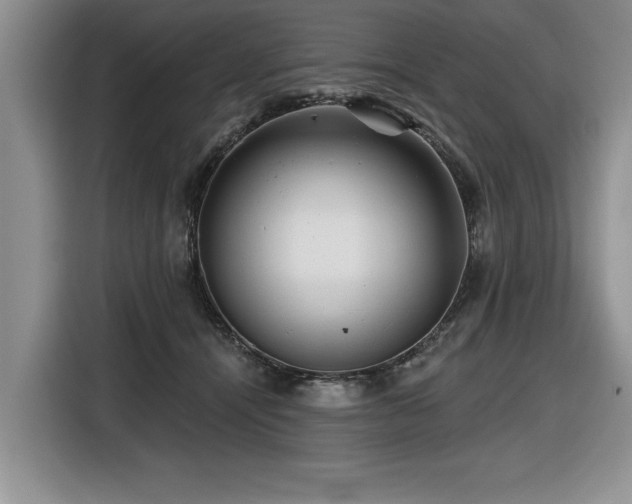 X0000116550464200912101417