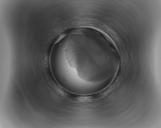 X0000116550465200912101417