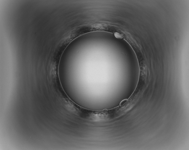 X0000116550466200912101417