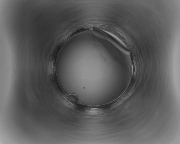 X0000116550467200912101417