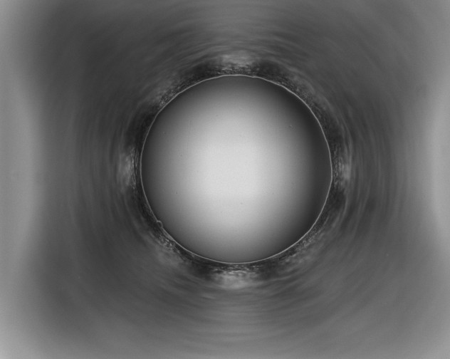 X0000116550468200912101417