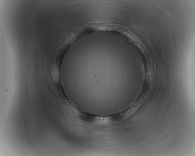 X0000116550469200912101417