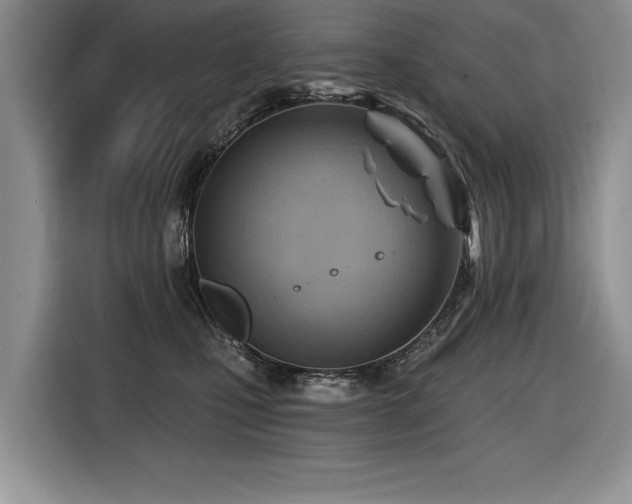 X0000116550471200912101417