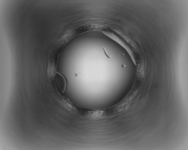 X0000116550474200912101417