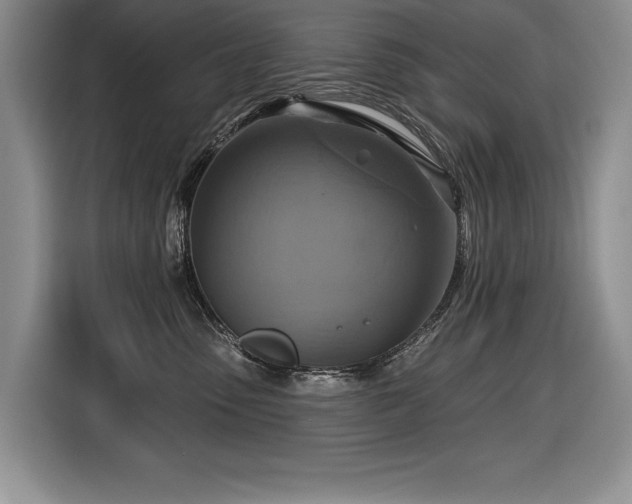 X0000116550475200912101417