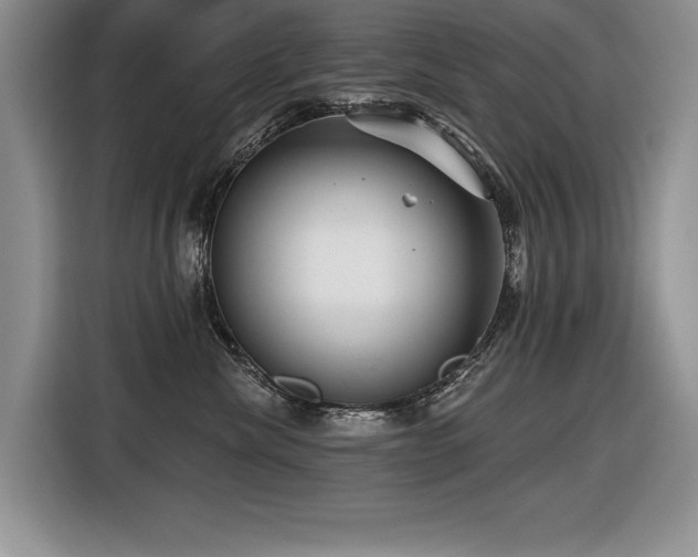 X0000116550476200912101417