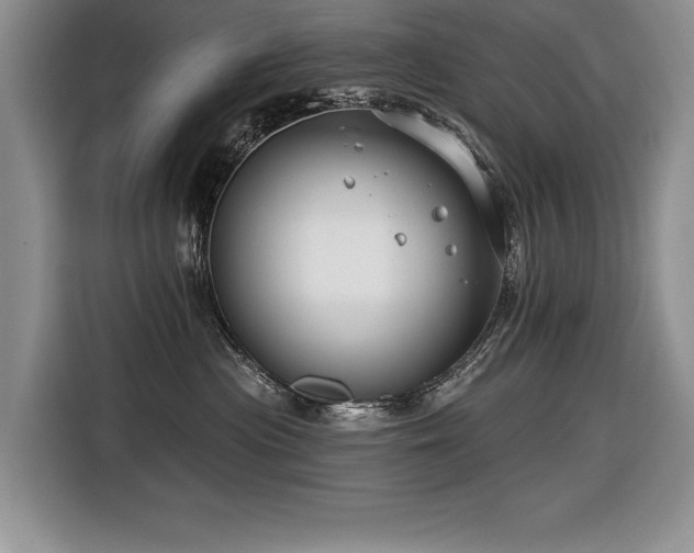 X0000116550477200912101417