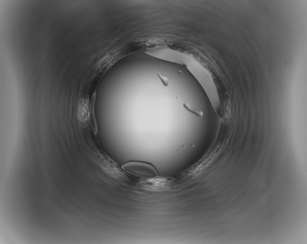 X0000116550478200912101417