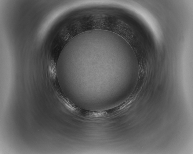 X0000116550479200912101417