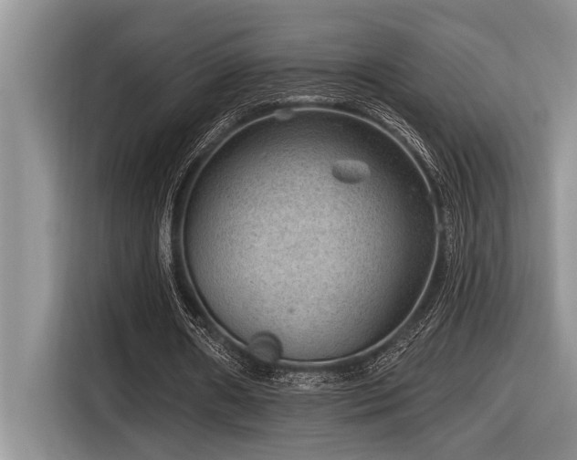 X0000116550482200912101417