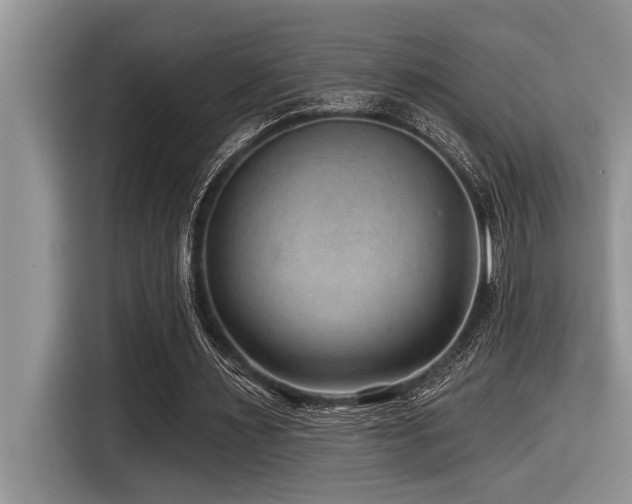 X0000116550483200912101417