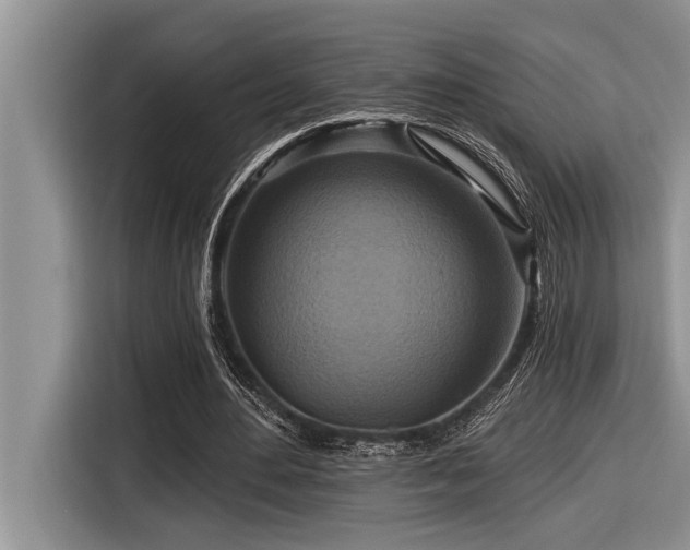 X0000116550484200912101417